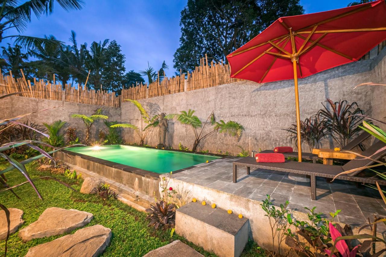 The Forest Batu Kurung * Ubud