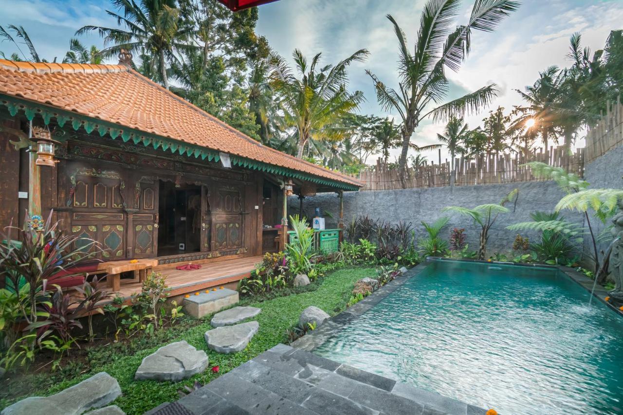 The Forest Batu Kurung Villa *